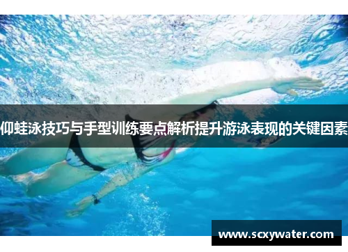 仰蛙泳技巧与手型训练要点解析提升游泳表现的关键因素