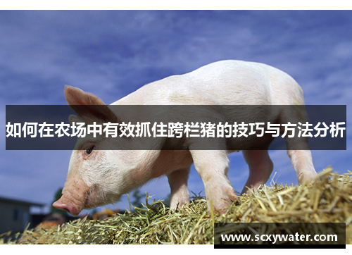 如何在农场中有效抓住跨栏猪的技巧与方法分析