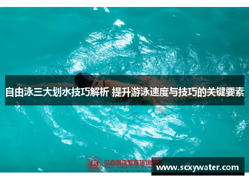 自由泳三大划水技巧解析 提升游泳速度与技巧的关键要素