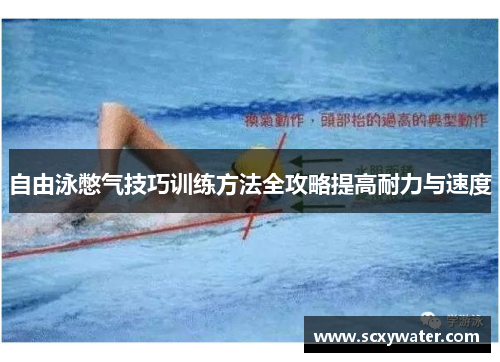 自由泳憋气技巧训练方法全攻略提高耐力与速度