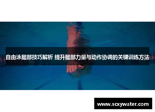自由泳腿部技巧解析 提升腿部力量与动作协调的关键训练方法