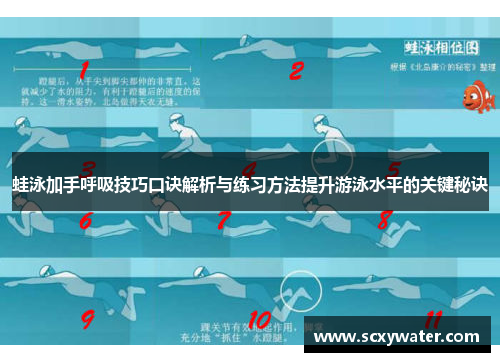 蛙泳加手呼吸技巧口诀解析与练习方法提升游泳水平的关键秘诀