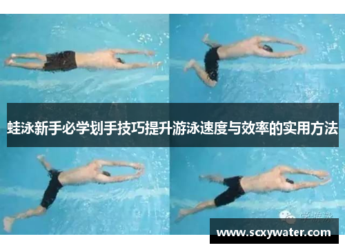 蛙泳新手必学划手技巧提升游泳速度与效率的实用方法