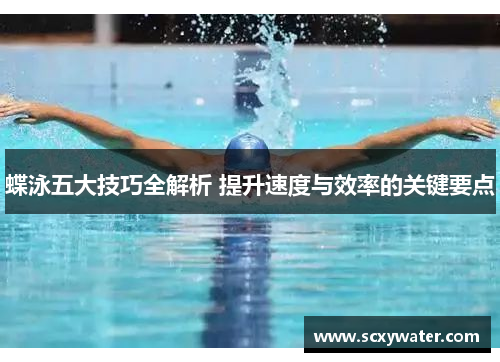 蝶泳五大技巧全解析 提升速度与效率的关键要点
