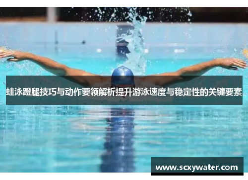 蛙泳蹬腿技巧与动作要领解析提升游泳速度与稳定性的关键要素