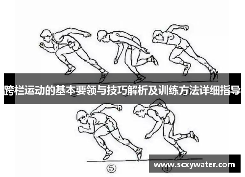 跨栏运动的基本要领与技巧解析及训练方法详细指导