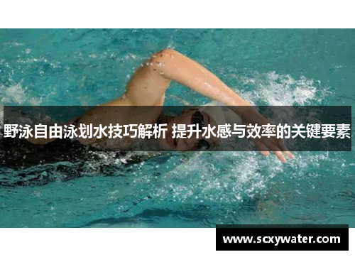 野泳自由泳划水技巧解析 提升水感与效率的关键要素